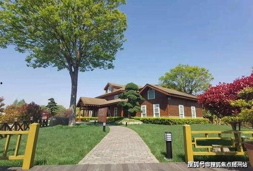 天中武哥爆料最新消息,最新热点事件内幕大揭秘！